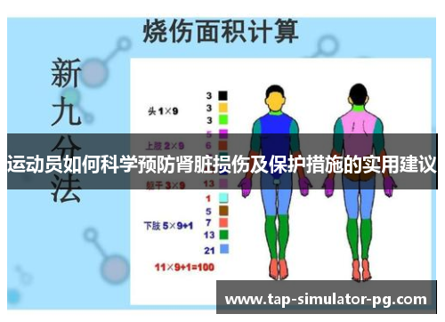 运动员如何科学预防肾脏损伤及保护措施的实用建议