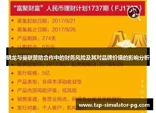 骁龙与曼联赞助合作中的财务风险及其对品牌价值的影响分析 骁龙与曼联赞助合作中的财务风险及其对品牌价值的影响分析