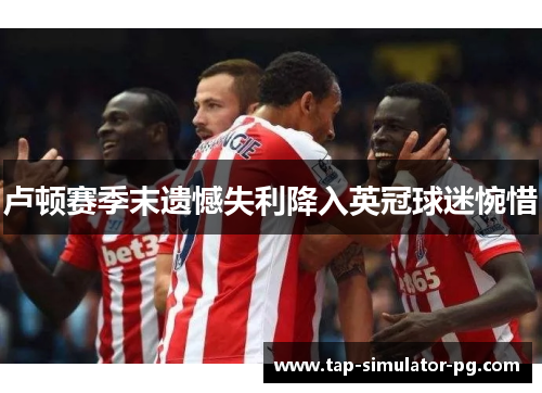 卢顿赛季末遗憾失利降入英冠球迷惋惜 卢顿赛季末遗憾失利降入英冠球迷惋惜