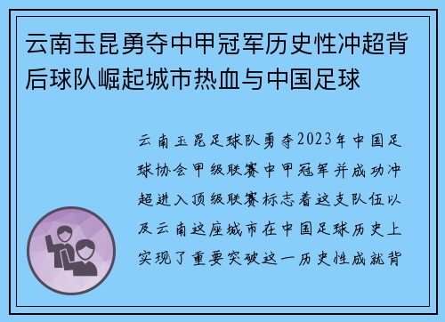 云南玉昆勇夺中甲冠军历史性冲超背后球队崛起城市热血与中国足球 云南玉昆勇夺中甲冠军历史性冲超背后球队崛起城市热血与中国足球
